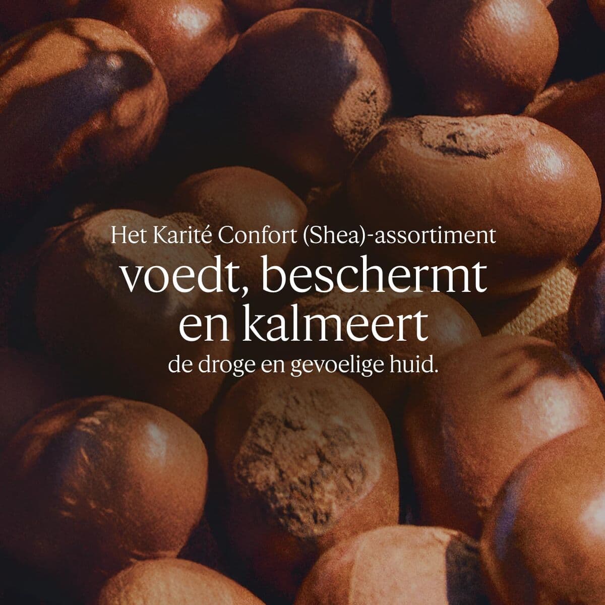 Fuktgivande fotkräm L'Occitane En Provence KARITÉ CONFORT 150 ml — thumbnail 2